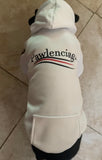 Pawlenciaga Dog Hoodie