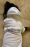 Pawlenciaga Dog Hoodie