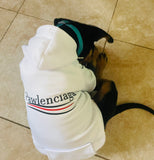 Pawlenciaga Dog Hoodie